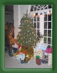 IMG_5378 * X-mas tree * 1704 x 2272 * (1.34MB)