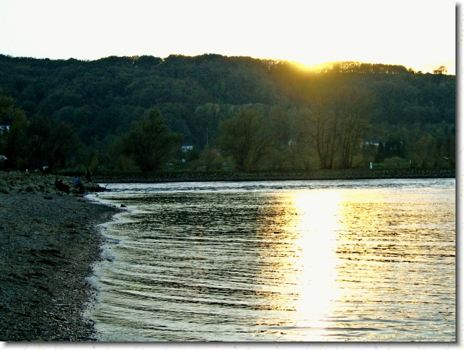 Letztes Bild erreicht